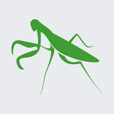 Logo mantis | Comparativa d'empreses de disseny web a Girona | Guia 2026